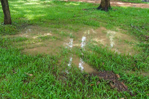 Storm Water Drainage Service in Charleston