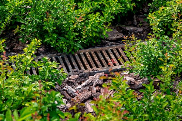 Underground Drainage Service in Charleston