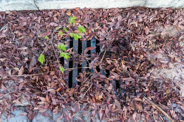Yard Drain Unclogging in Charleston