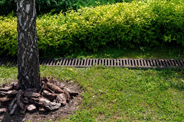 Garden Drainage Installation in Charleston