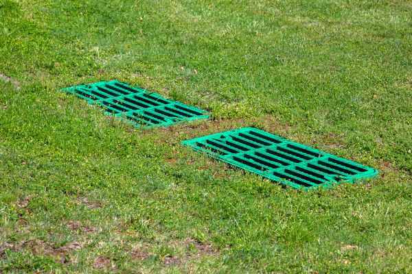 Soggy Yard Repair in Charleston