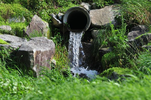 Water Redirection in Charleston
